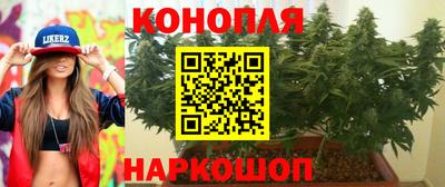 кокс Краснодар
