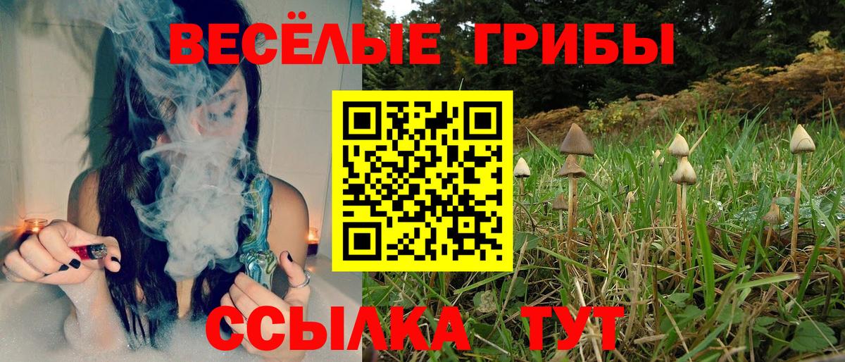 Галлюциногенные грибы MAGIC MUSHROOMS  Вход с VPN  Галлюциногенные грибы Psilocybe  Кирово-Чепецк 